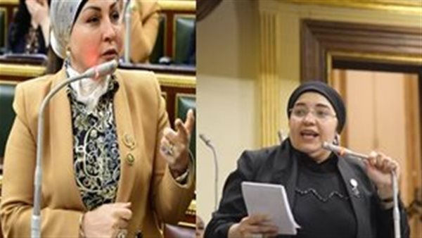 النائبة دعاء عريبي