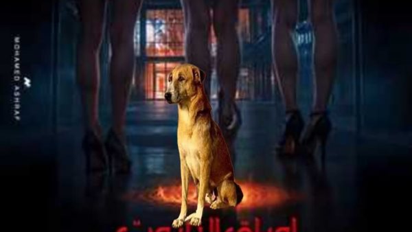 كلب فيلم التاروت