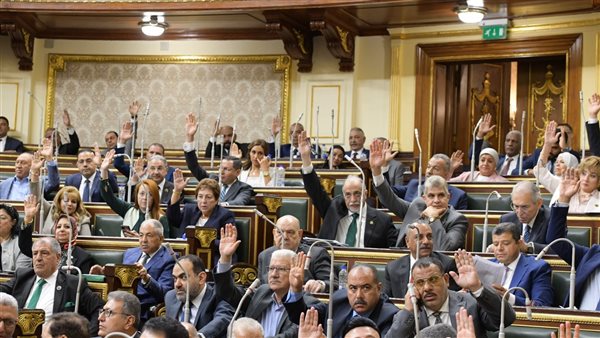 المستشار محمود فوزي