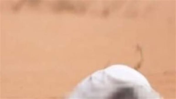 جثة في الصحراء