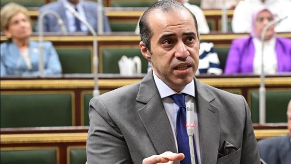 المستشار محمود فوزي