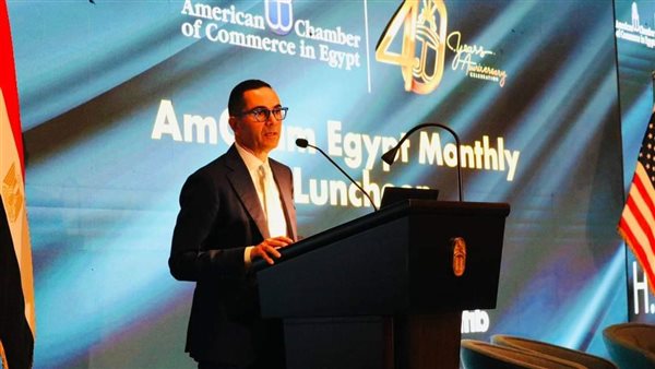 وزير الاستثمار 