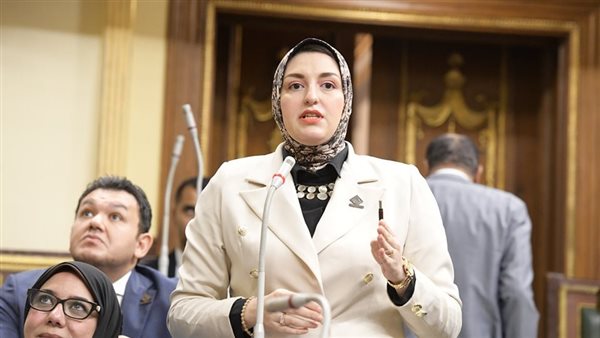 النائبة هدي عمار،