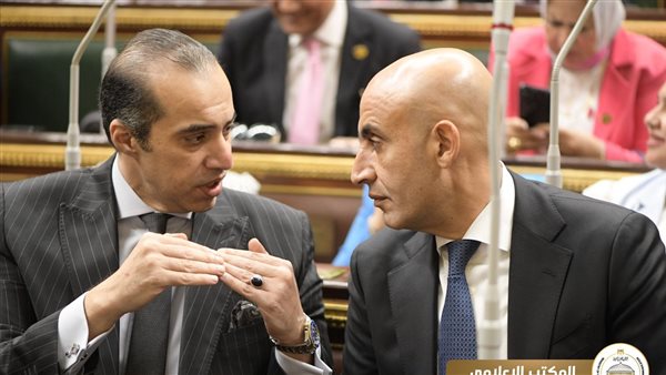 المستشار محمود فوزي