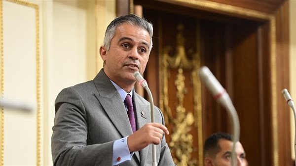 النائب أحمد فتحي،