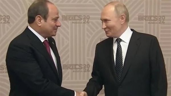 السيسي وبوتين يبحثان