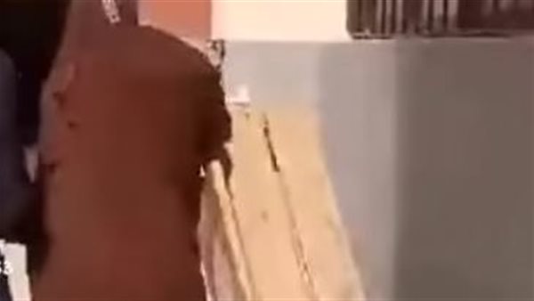 سيدة الديسك 