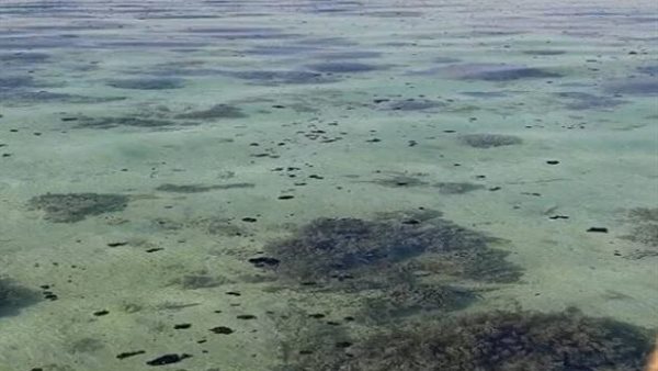 تسرب بقعة زيت في