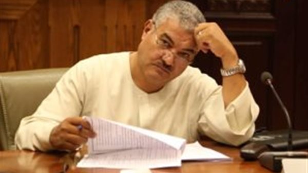 النائب صابر عبد القوي،