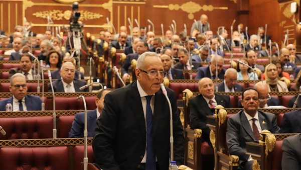  المستشار بهاء ابوشقه