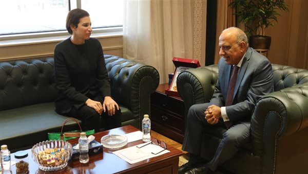 وزير الكهرباء 