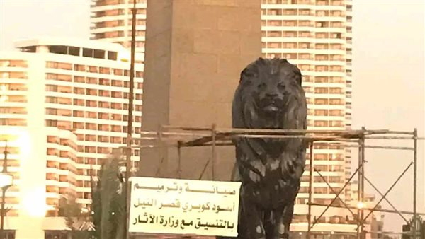 اسدين قصر النيل 