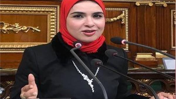 النائبة شيرين عبد