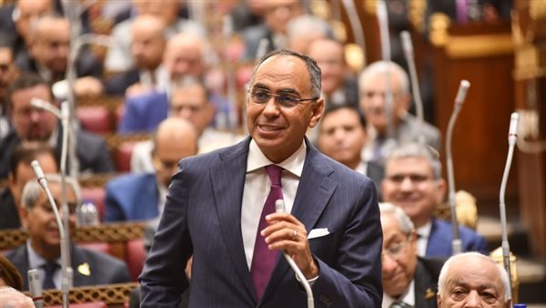 النائب هاني سري الدين