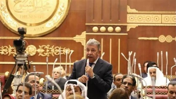 النائب عمرو حلمي