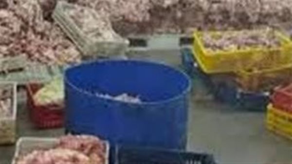 طيور غير صالحة