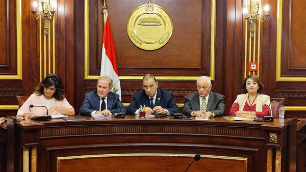 لجنة حقوق الإنسان