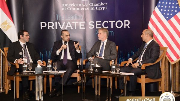 المستشار محمود فوزي