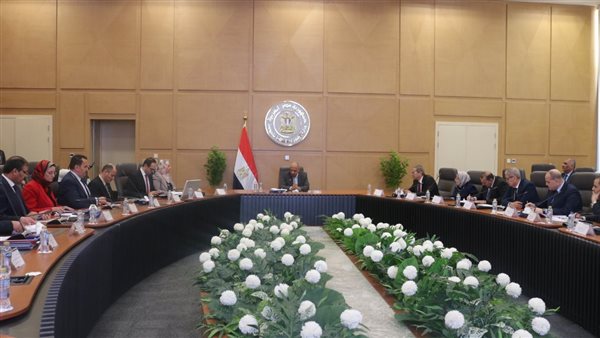 وزير الكهرباء 