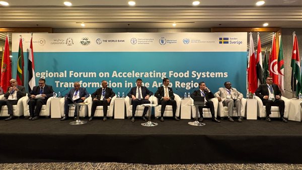 جانب من الملتقى 