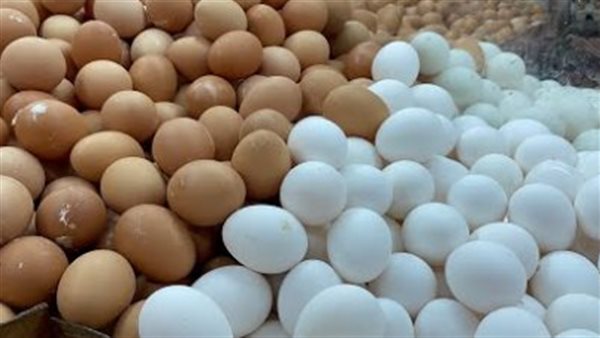 البيض المصري والتركي