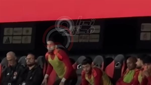 مصطفى شوبير