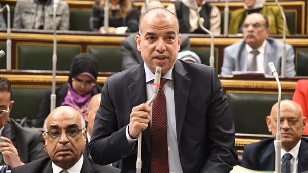 مستشار رئيس النواب