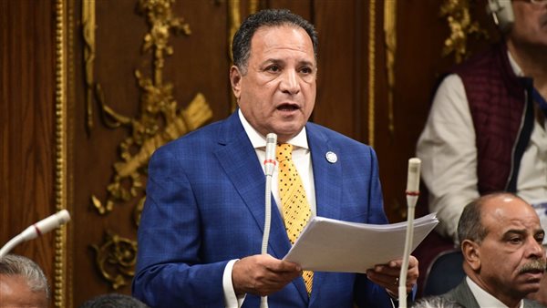  محمد صلاح أبو هميلة