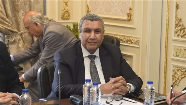 النائب مصطفى سالم