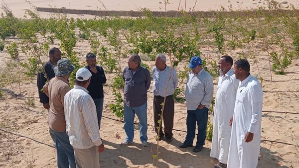 جانب من فعاليات المبادرة