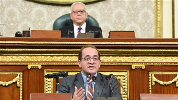 وزير المالية