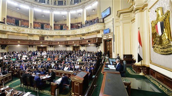 النائب إبراهيم المصري،