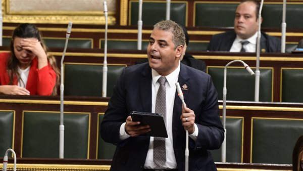 النائب نادر مصطفي