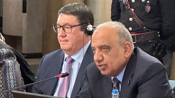 وزير الكهرباء 