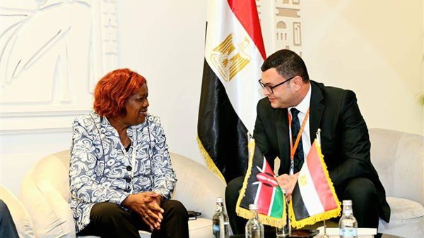 وزير الإسكان 