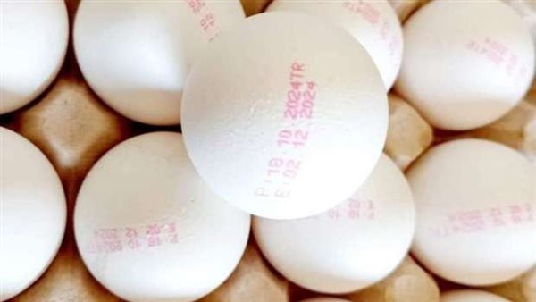 البيض التركي 