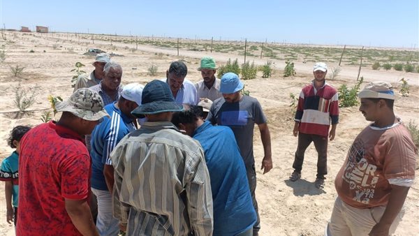 حملة اسأل خبير 