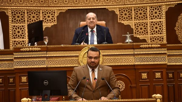 النائب أحمد القناوي