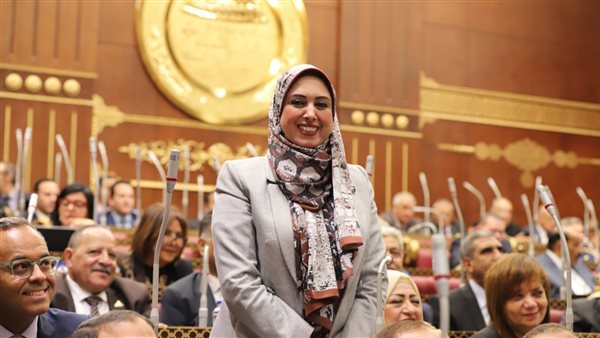 النائبة رشا مهدي