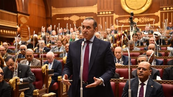 المستشار محمود فوزي