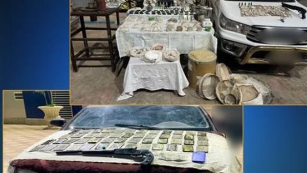 ضبط عناصر إجرامية