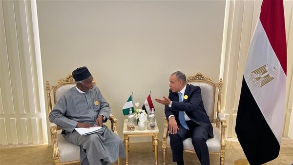 وزير الخارجية ونظيره