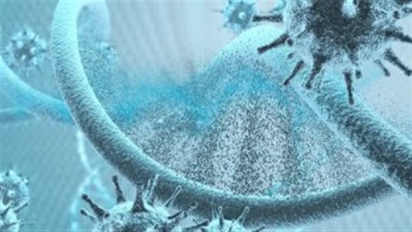 فيروس كورونا 