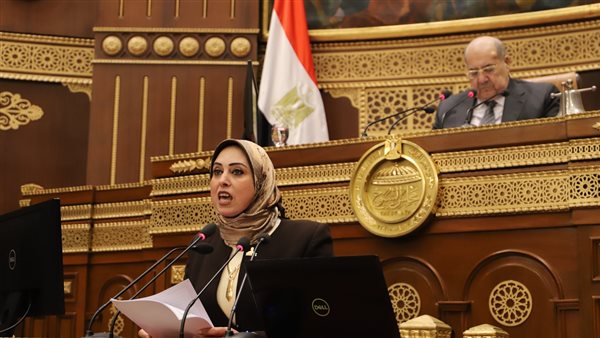 النائبة رشا مهدي