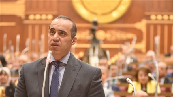 الوزير محمود فوزي