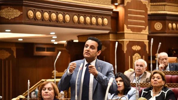  النائب أحمد سمير