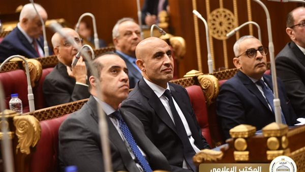 المستشار محمود فوزي