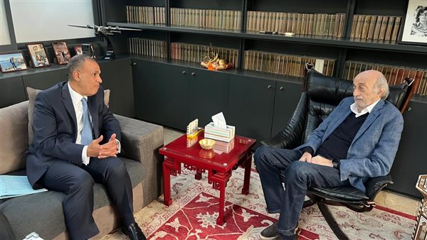 بدر عبد العاطي -