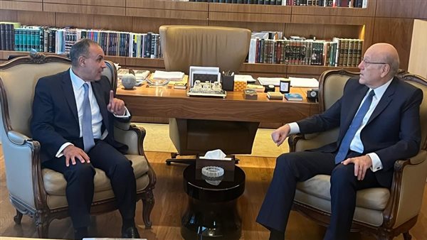 بدر عبد العاطي -