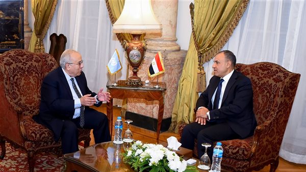 بدر عبد العاطي -